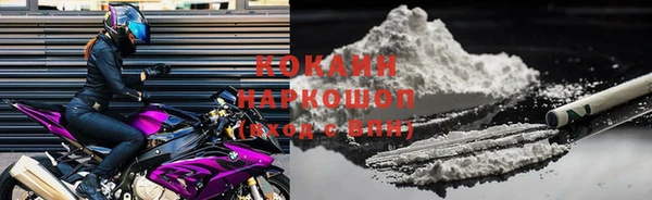 индика Белокуриха