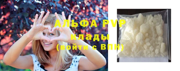 индика Белокуриха