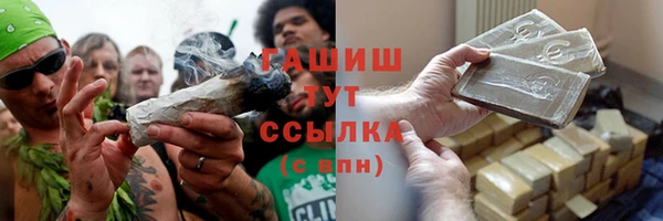 индика Белокуриха