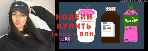 индика Белокуриха