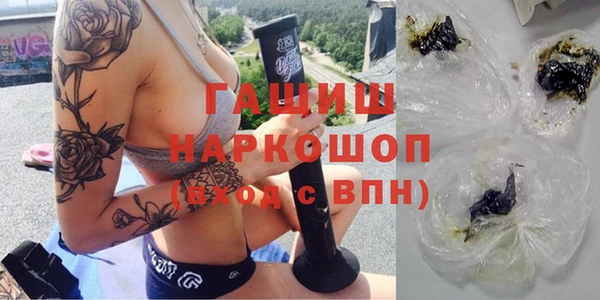 индика Белокуриха