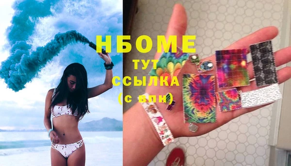 индика Белокуриха