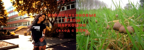 ешки Беломорск